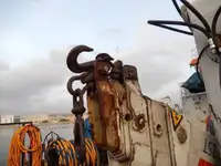 Embarcaciones de trabajo en venta