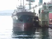 Granelero en venta