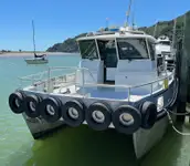 Catamarán en venta