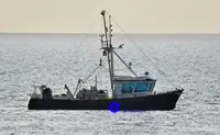 Arrastrero de viga en venta