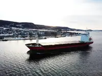 Granelero en venta