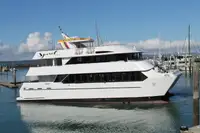 Catamarán en venta