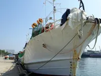 Calamarero en venta