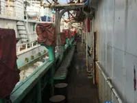 Calamarero en venta