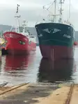 Arrastrero en venta