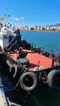 Embarcaciones de trabajo en venta