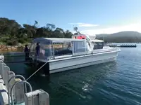 Catamarán en venta