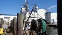 Arrastrero en venta