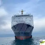 Buque Ro-Ro en venta
