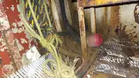 Remolcador en venta