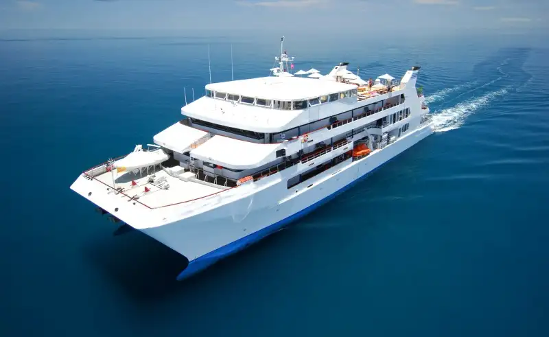 Catamarán en venta