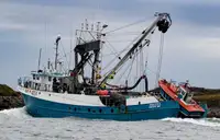 Arrastrero de cerco en venta