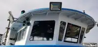 Catamarán en venta