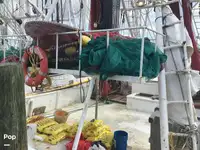 Arrastrero en venta