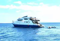 Soporte de buceo en venta
