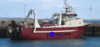 Gran arrastrero congelador en venta