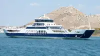 Barco de transbordador en venta