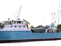 Arrastrero en venta