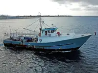 Palangrero en venta