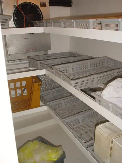 Palangrero en venta