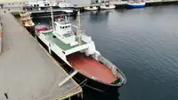 Buque Ro-Ro en venta