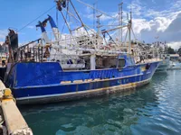 Arrastrero en venta