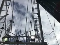 Arrastrero en venta