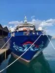 Barco de transbordador en venta