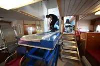 Buque de ferry en venta