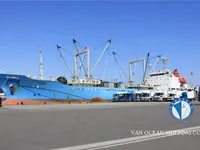 Barco frigorífico en venta