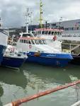 Patrullera en venta