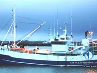 Arrastrero en venta