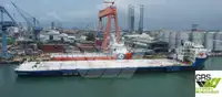 Buque granelero en venta