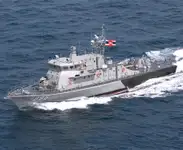 Bote patrulla en venta