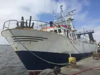Arrastrero en venta