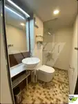 Buque de crucero en venta