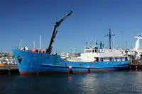 Granelero en venta
