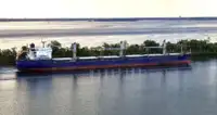 Granelero en venta