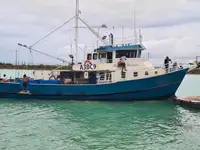Arrastrero en venta