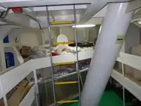 Buque granelero en venta