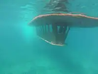 Buque de crucero en venta