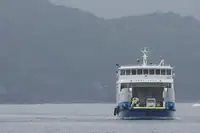 Buque Ro-Ro en venta