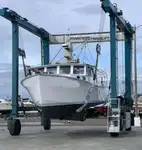 Recipiente de procesamiento de pescado en venta