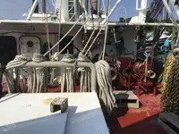 Arrastrero en venta
