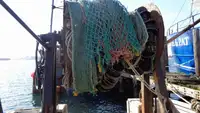 Arrastrero en venta