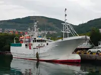 Trawler en venta