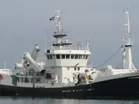 Arrastrero en venta