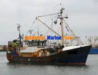 Arrastrero en venta