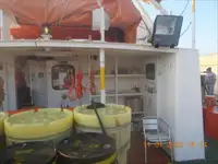 Lancha de tripulación en venta