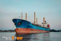 Granelero en venta